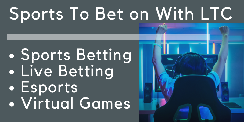 Sports to bet on with LTC Litecoin, man on chair with hands raised